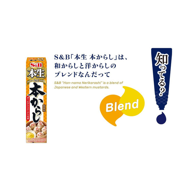 P-3-SBFS-KARSHI-43-S&B Karashi Sauce Japanese Mustard Paste Tube 43g.jpg