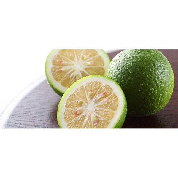 P-4-FNDK-YUZKOS-50-Fundokin Green Yuzu Kosho Sauce Spicy Citrus Seasoning Paste 50g.jpg