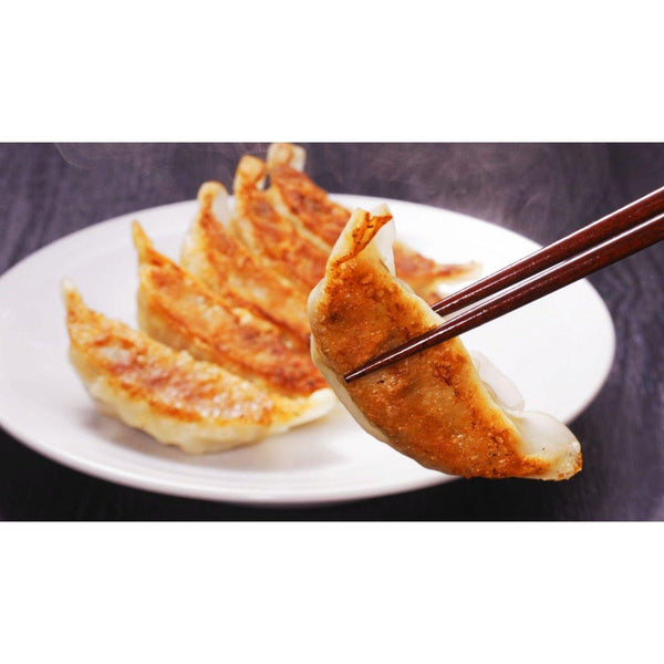 P-4-SHMO-GYOMKR-GD01-Shimomura Gyoza Shaping Mold Set (Japanese Dumplings Maker Kit).jpg
