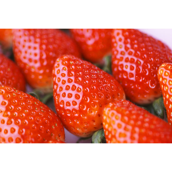 P-7-MSGE-STWVIN-500-Marushige Migaki Strawberry Premium Drinking Vinegar 500ml-2023-09-11T01:54:12.jpg