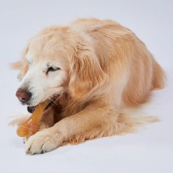 Petio-Corn-Based-Dog-Chew-Toy-Safe-to-Swallow-Bone-Shaped-Large-2-2026-04-10T07:12:27.397Z.webp