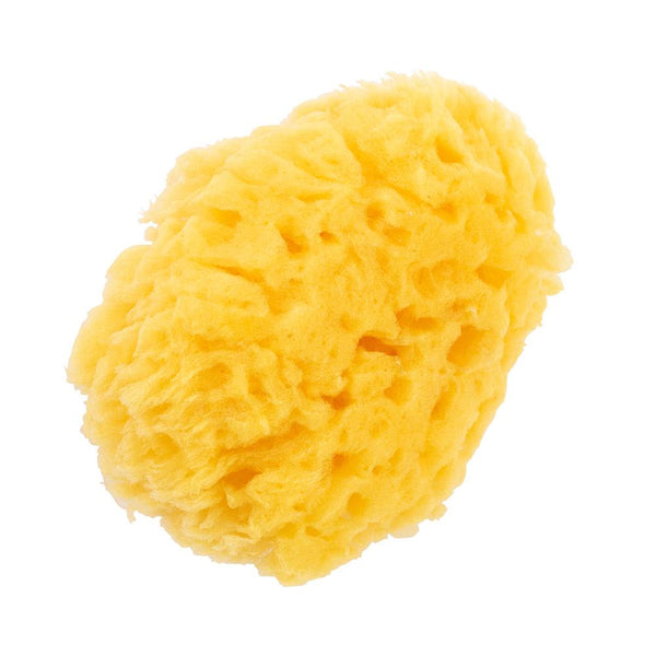 Pigeon-Kaimen-Natural-Baby-Bath-Sponge-for-Sensitive-Skin-3-2025-04-07T23:18:51.057Z.jpg
