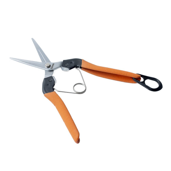 Saboten-Harvesting-Shears-Horticultural-Thinning-Snips-48mm-1-2024-11-06T06:44:26.621Z.jpg