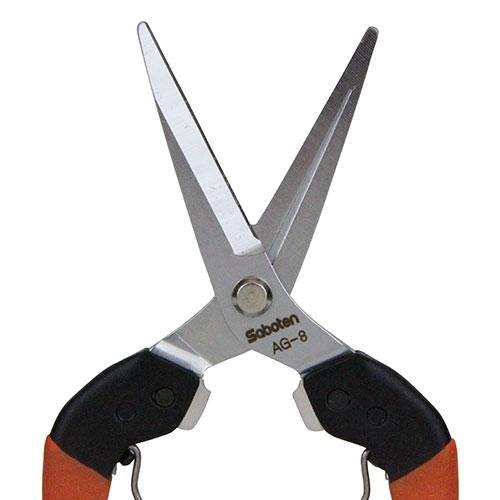 Saboten-Harvesting-Shears-Horticultural-Thinning-Snips-48mm-2-2024-11-06T06:44:26.621Z.jpg