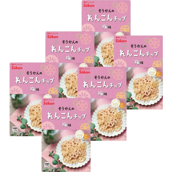 Sokan-Ume-Renkon-Chips-Japanese-Plum-Flavored-Lotus-Root-Chips-18g-Pack-of-6-1-2026-02-26T04:57:18.831Z.webp