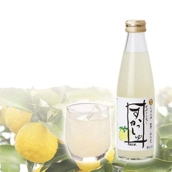 Tajima-Jozo-Sparkling-Yuzu-and-Yabu-Ginger-Vinegar-Soda-Drink-200ml-3-2025-07-01T04:35:06.418Z.jpg