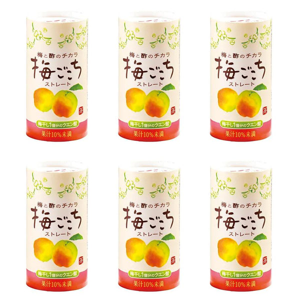 Tokiwa-Ume-Flavored-Japanese-Drinking-Vinegar-Premix-Drink-125ml-Pack-of-6-1-2026-03-24T03:43:20.794Z.jpg