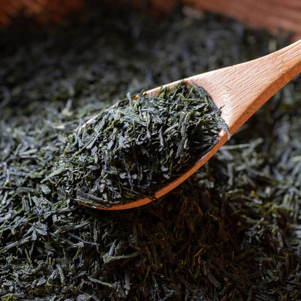 Ujien-Kitashirakawa-Gyokuro-Highest-Grade-Loose-Leaf-Green-Tea-100g-3-2025-12-24T01:08:42.805Z.jpg