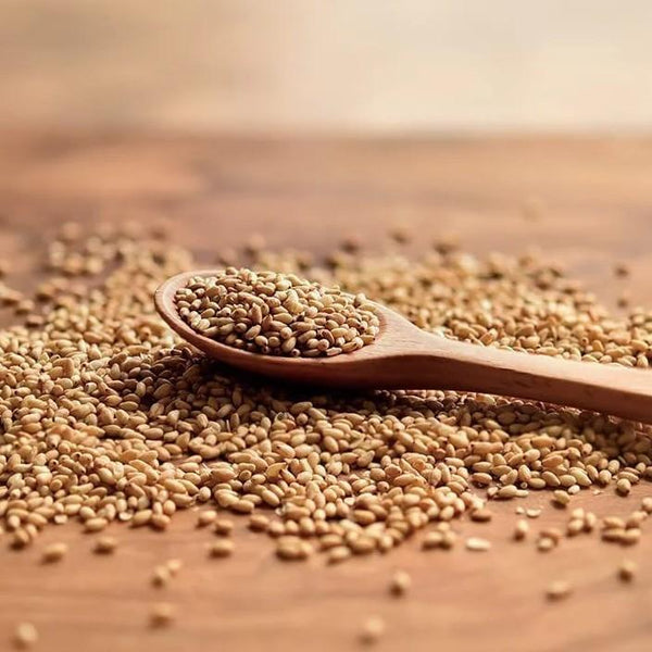 Wadaman-Certified-Organic-Roasted-White-Sesame-Seeds-50g--3-2025-07-10T07:18:59.395Z.jpg
