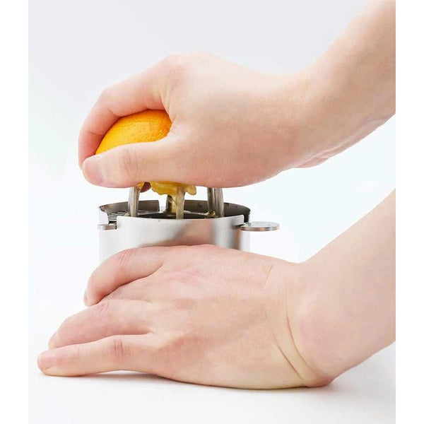 Wadasuke-Stylish-Manual-Citrus-Juicer-With-Stainless-Steel-Strainer-and-Cup-2-2025-12-03T13:19:22.385Z.jpg